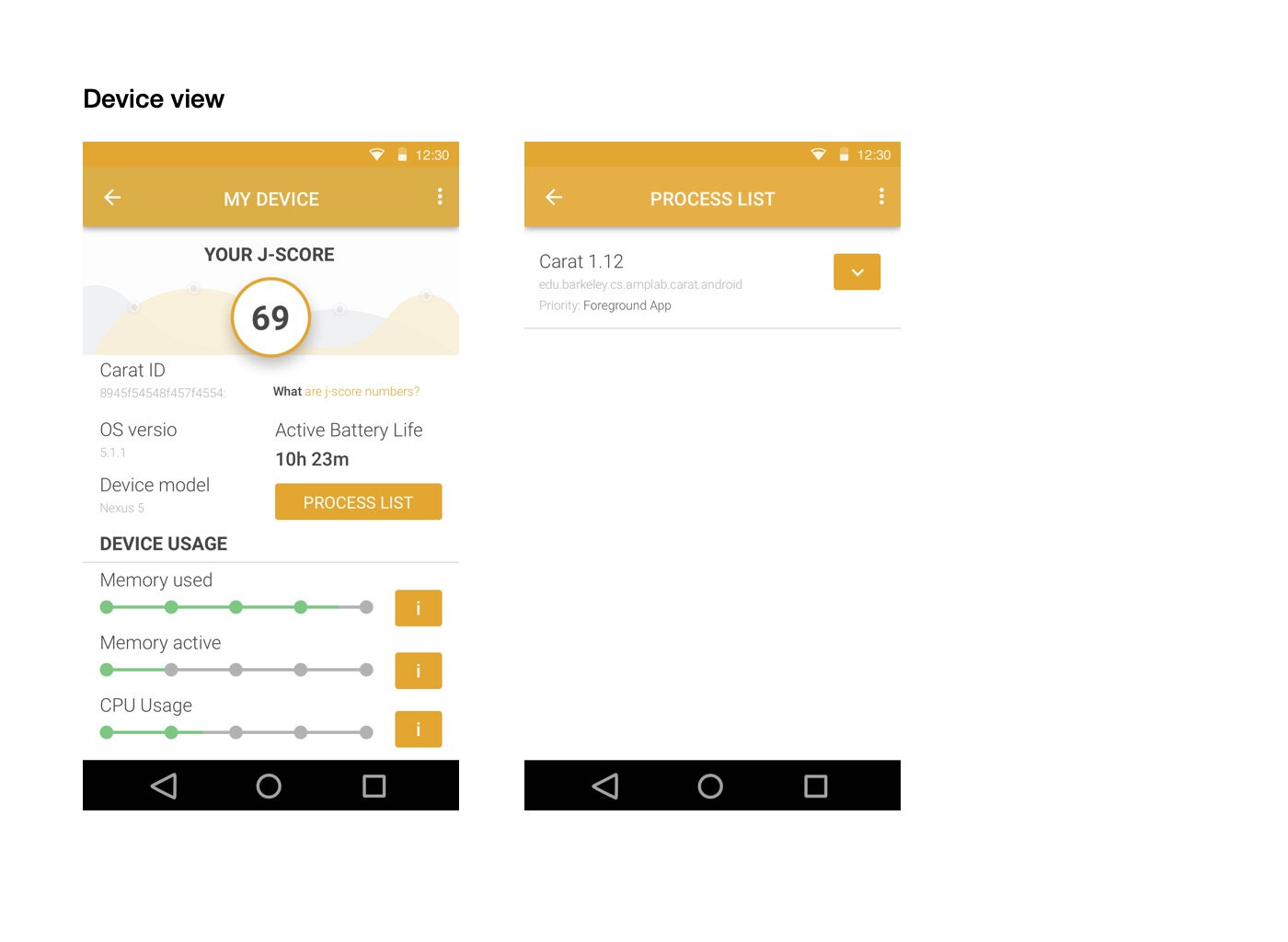 Carat device details and process list with memory and CPU usage indicators