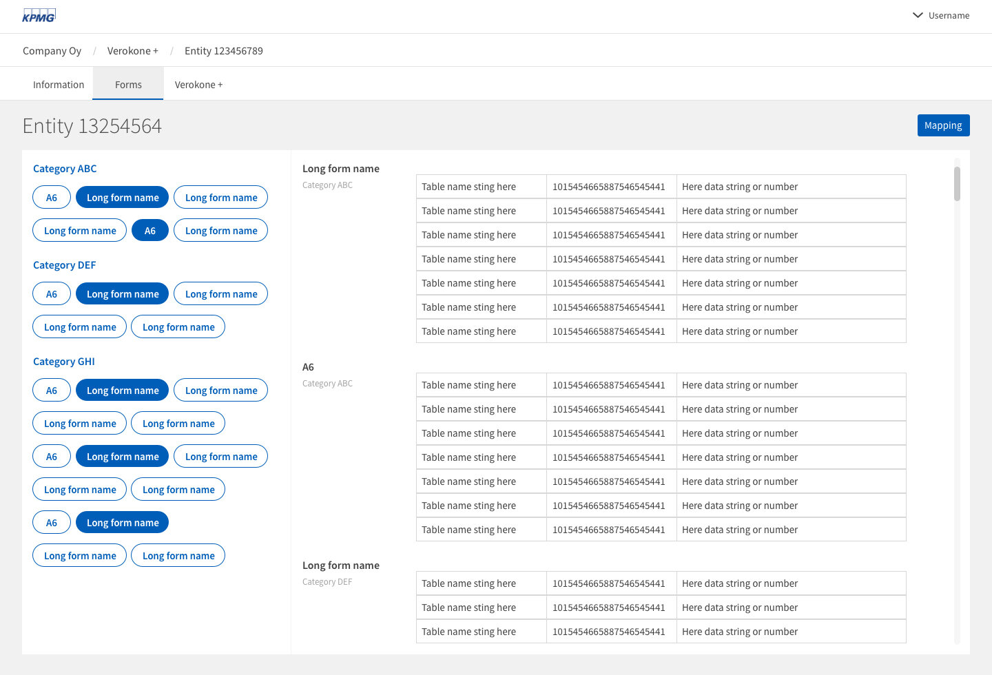 Another view of the KPMG Verokone interface